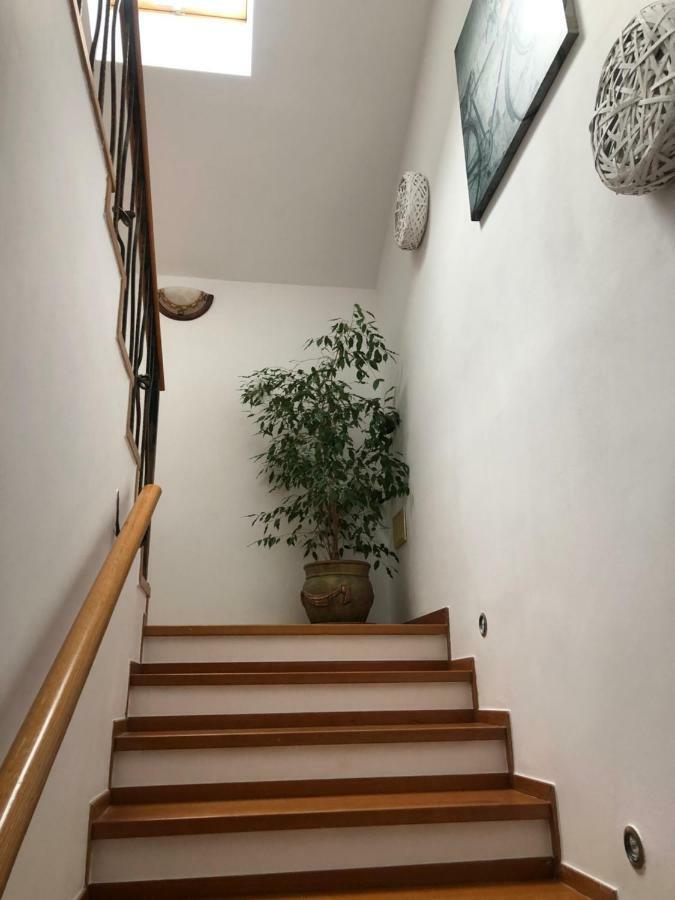 Apartamenty Sandomierskie Gimo Sandomierz Eksteriør bilde